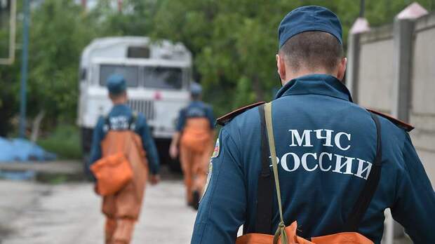 В МВД рассказали о планах наградить нашедших детей в лесу на Урале волонтеров
