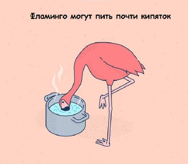 www.vsyako.net