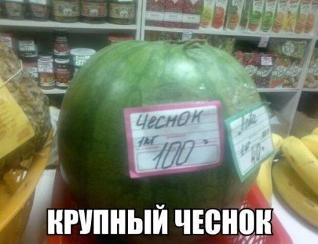 Прикольные фотомемы (23 шт)