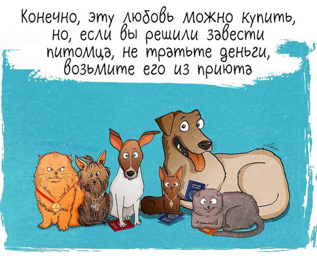Вот как меняется ваша жизнь, если взять собаку из приюта