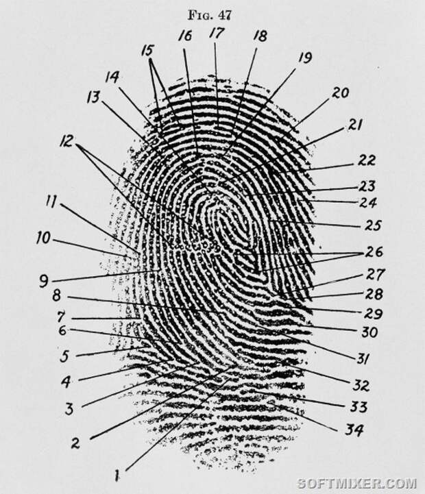 fingerprint