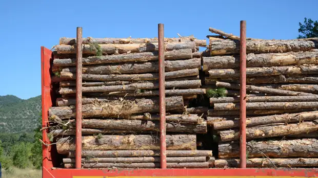 Sankei Shimbun: эмбарго на древесину из России может ударить по строительной сфере Японии