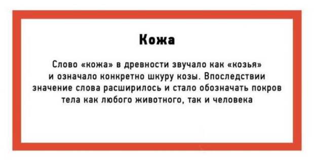 24 познавательных открытки об истории происхождения слов