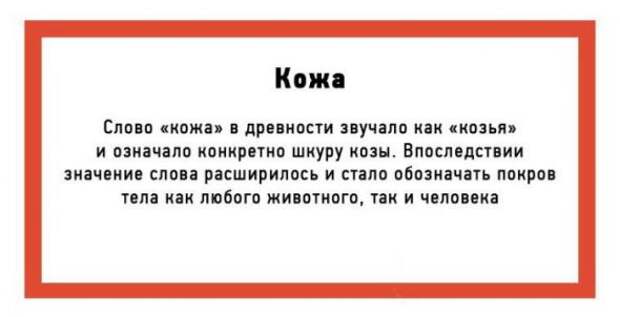 24 познавательных открытки об истории происхождения слов