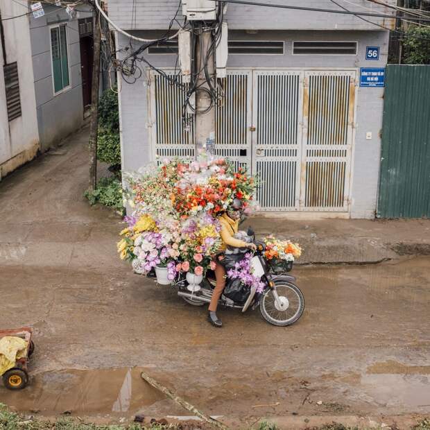 Подборка прикольных картинок