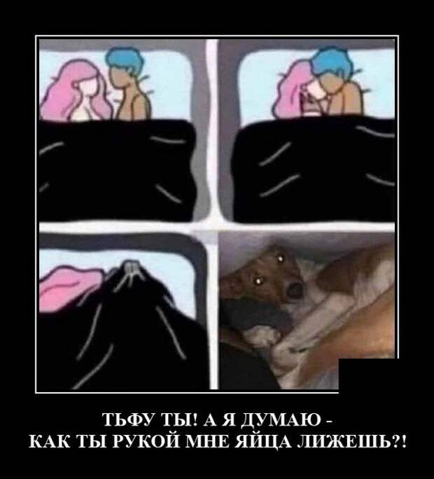 Демотиваторы 14 июля 2021