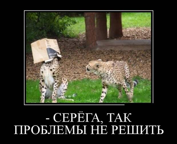 Демотиваторы