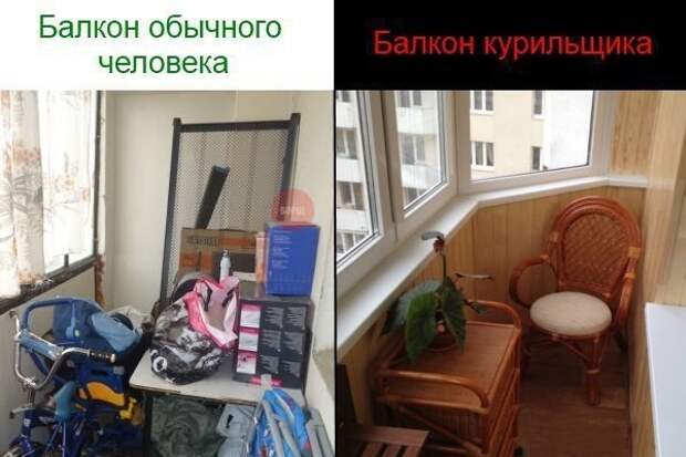 Смешные картинки с надписями Смешные картинки с надписями прикол, юмор