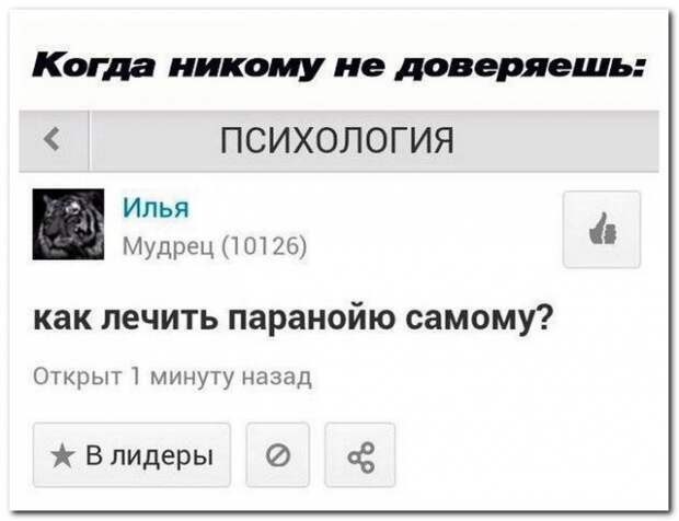 Прикольные комментарии из социальных сетей