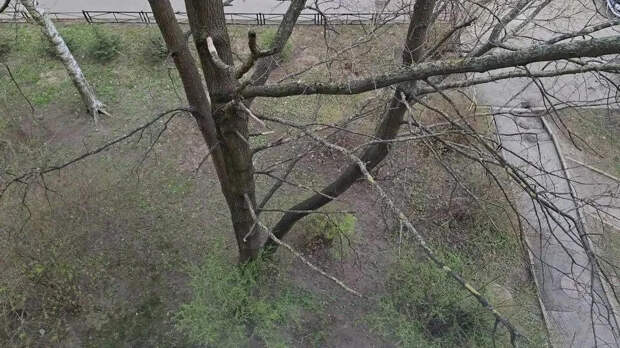 Двухлетний мальчик выжил после падения с четвертого этажа в Петербурге