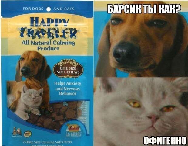 Позитивные картинки с надписями для хорошего настроения (11 фото) Позитивные картинки с надписями для хорошего настроения (11 фото)