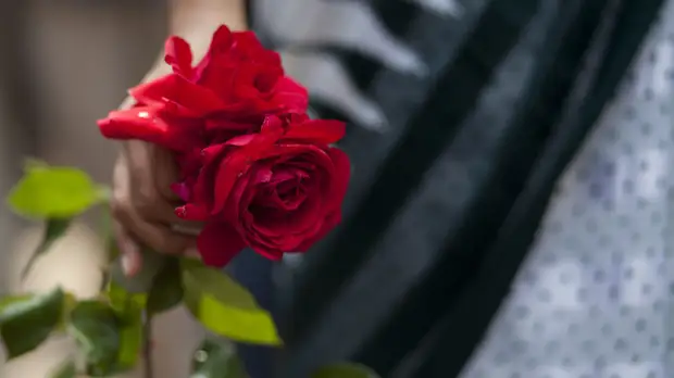 Глава «Ритуала» рассказал о возросшей нагрузке в похоронной сфере в пандемию