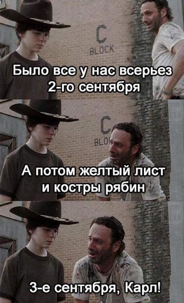 Интернет снова захлестнула волна шуток про 3 сентября 3 сентября, костры рябин, прикол, шуфутинский, юмор