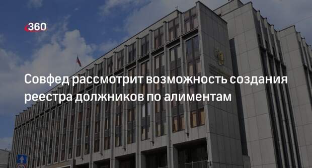 Совфед обсудит законопроект о создании реестра должников по алиментам 22 мая