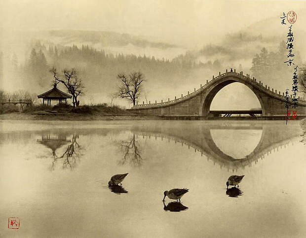 Фотографии в стиле традиционной китайской живописи