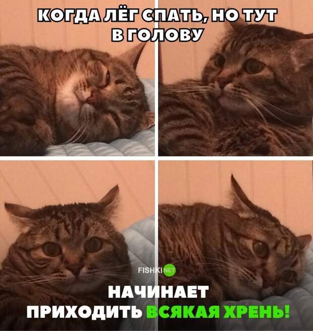 35 позитивных картинок, которые скрасят ваш рабочий день картинки, прикол, юмор