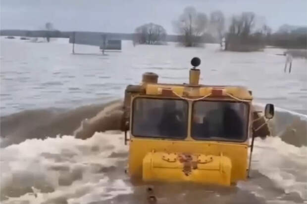 Паводок затопил часть Подмосковья и развеселил местных жителей