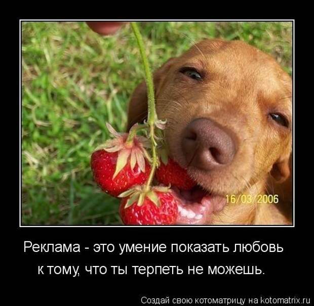 Прикол Спасибо