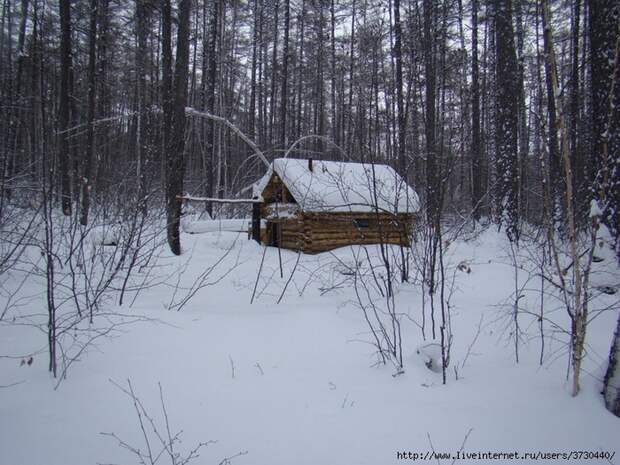 зимовье