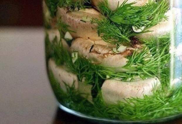 Малосольные ШАМПИНЬОНЫ на скорую руку – мировой рецептик!
