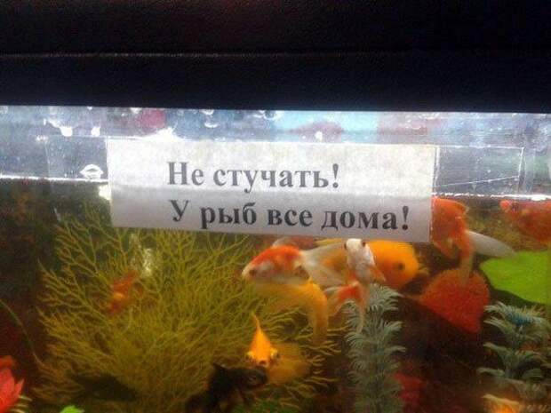 Приколы