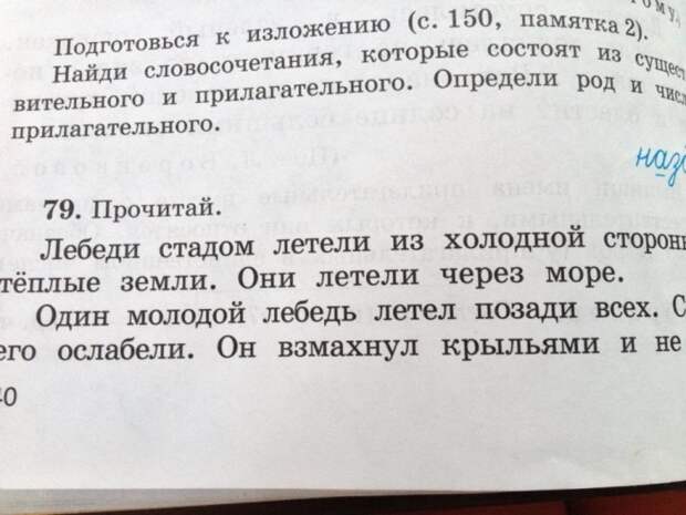 Забавные надписи и объявления Забавные надписи и объявления