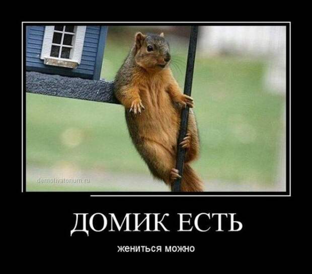 демотиваторное