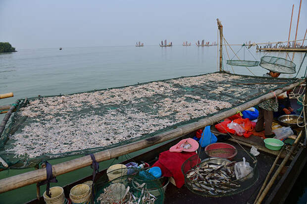 Рыбаки на реке Тайху