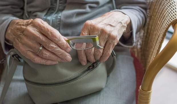 Пенсионеры-председатели в Карелии попросили Минтруда РФ вернуть индексацию выплат