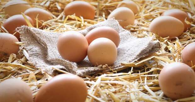 Органические яйца © VideoBlocks