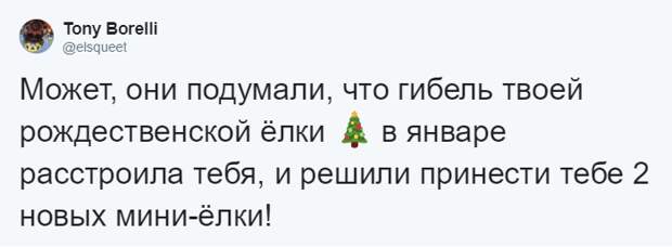 Мужчина четыре года кормил воронью семью, и те принесли ему таинственный дар. Теперь он их… идол?