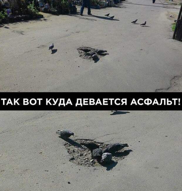 Картинки с надписями для поднятия настроения Картинки с надписями для поднятия настроения