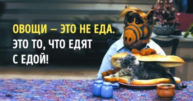 45 инопланетных цитат от Альфа