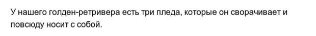 Забавные привычки наших любимых питомцев Забавные привычки наших любимых питомцев