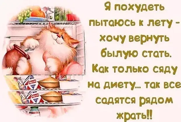 Инженер, бухгалтер, химик и государственный служащий поспорили, чей кот умнее...