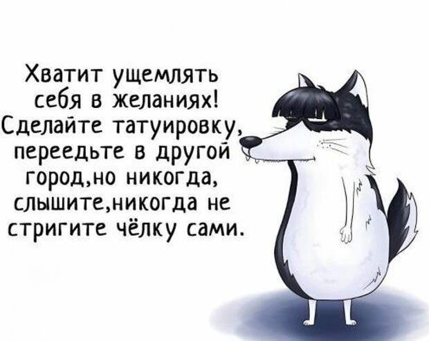 Подборка лучших шуток для настроения