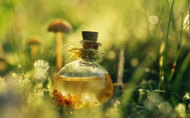Цвет духов. Как отличить настоящий парфюм от подделки: 7 главных пунктов. Фото с сайта NewPix.ru