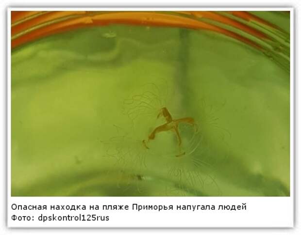 опасная находка. находки на кульчукском поселении. опасная находка. опасные находки которые категорически нельзя брать в руки. предметы мчс.