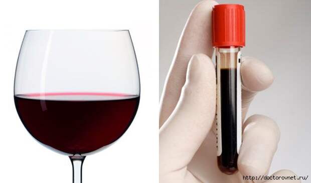 Красное вино и кровь (628x371, 56Kb)
