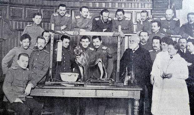 Иван Петрович Павлов в Императорской Военно–медицинской академии, 1913 год, Санкт–Петербург было, история, фото