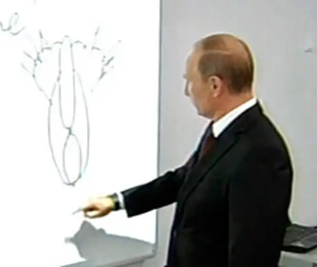 Кошка вид сзади рисунок