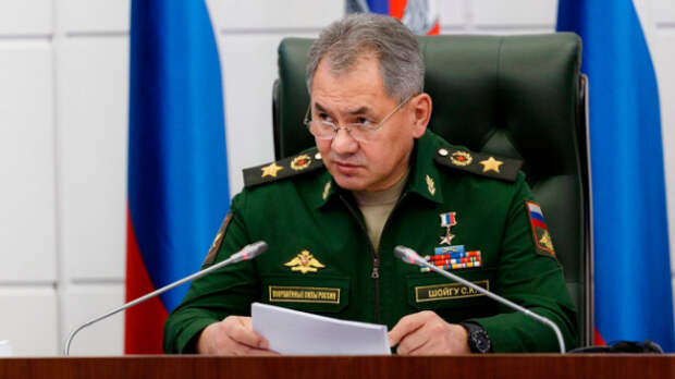 Шойгу колко ответил на слова Фэллона о «медведе, который сует лапы в Ливию»