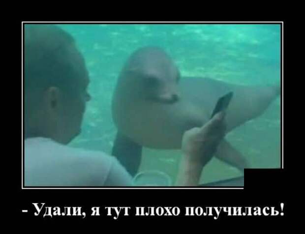 demotivatory-svezhie-demotivator-smeshnye-demotivatory-demotivator-so-smyslom
