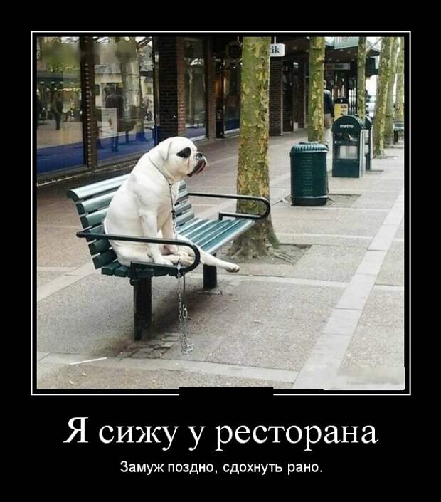 www.vsyako.net