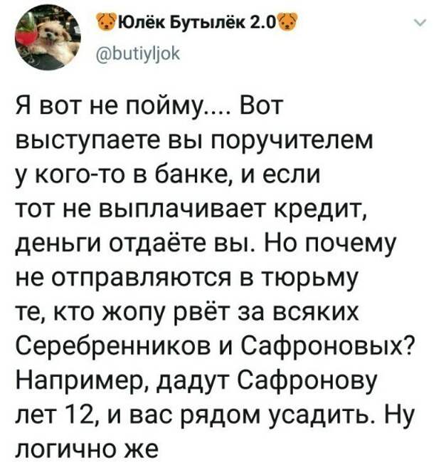 Политические картинки