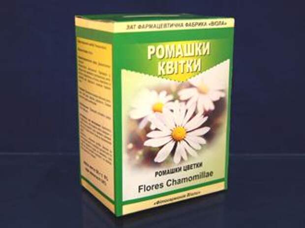 3925073_201012151729430_b_cvety_romashki (330x247, 11Kb)