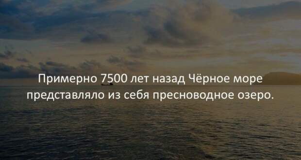 Интересные факты для любознательных (30 картинок)