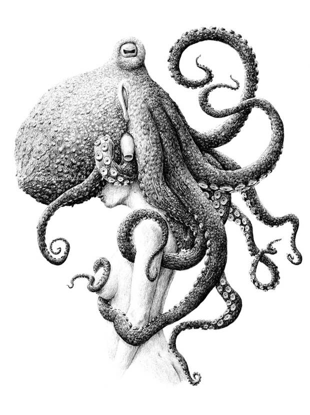 67aaba58371803.59f9cd32462f5.jpg 67aaba58371803.59f9cd32462f5.jpg