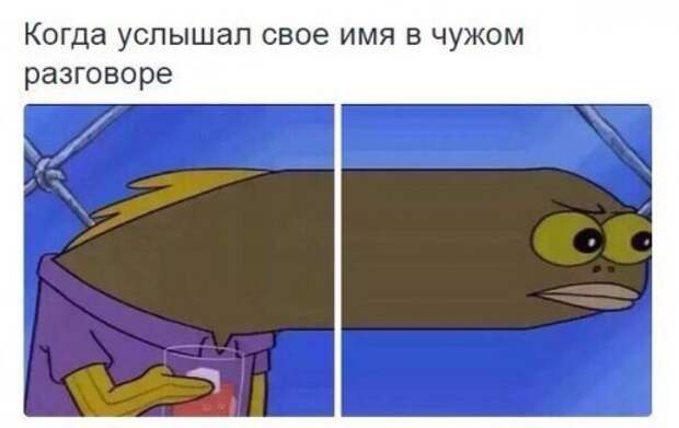 Новые прикольные фотомемы