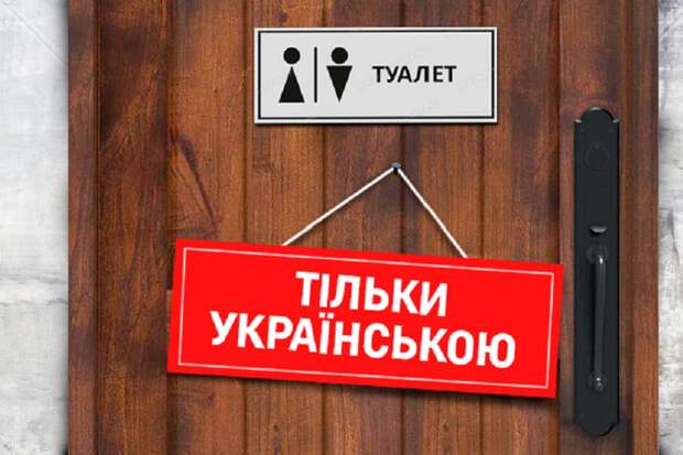 Поддержавший Майдан миллионер требует права на русский язык